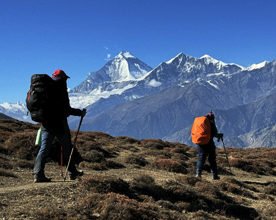 Lower mustang trek