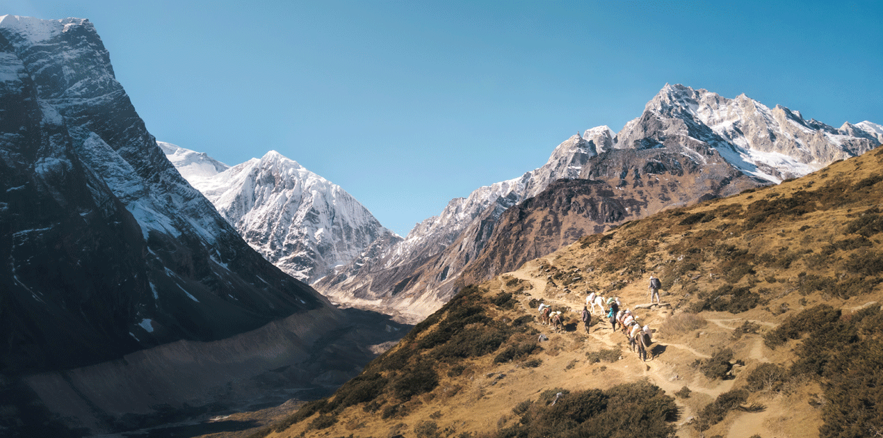 Manaslu + Annapurna Circuit trek