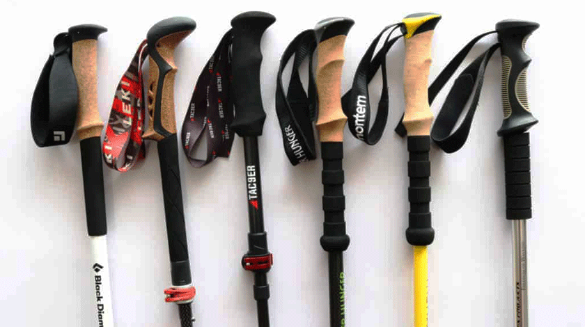 Best Trekking Poles